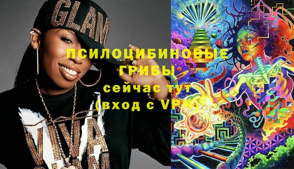 твердый Михайлов