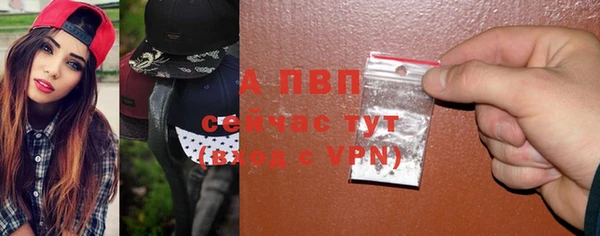 твердый Михайлов